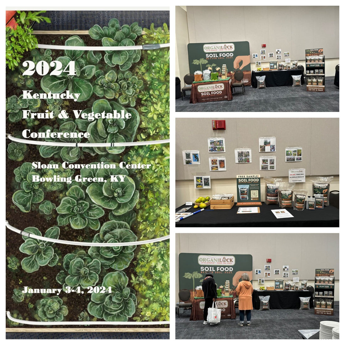 A Busy Start To 2024 For OrganiLock