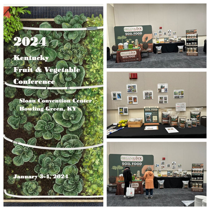 A Busy Start To 2024 For OrganiLock