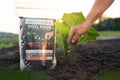 Soil Food - 8oz sample