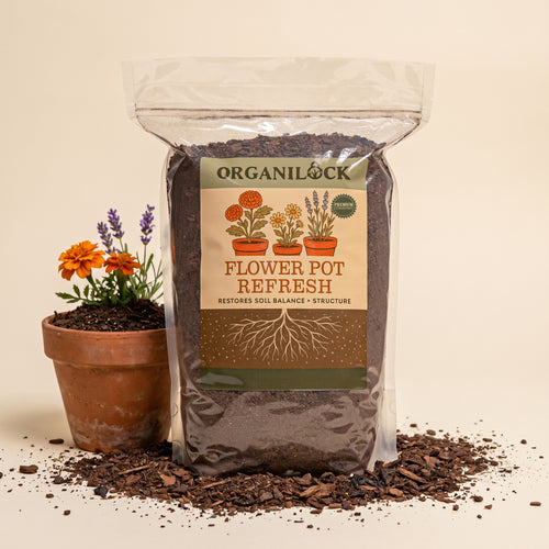 OrganiLock Flower Pot Refresh bag beside a terracotta pot of marigolds and lavender