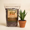 OrganiLock House Plant Refresh bag beside a potted snake plant
