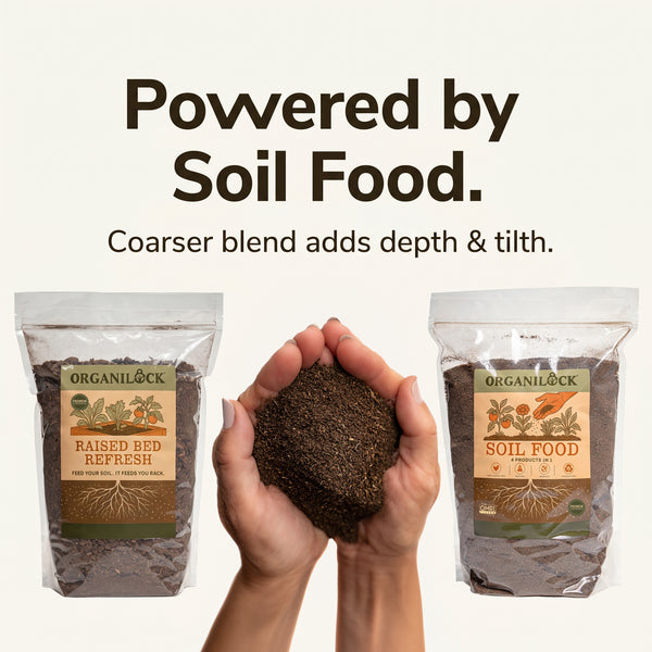 Raised Bed Refresh is powered by Soil Food, a coarser blend that adds depth and tilth