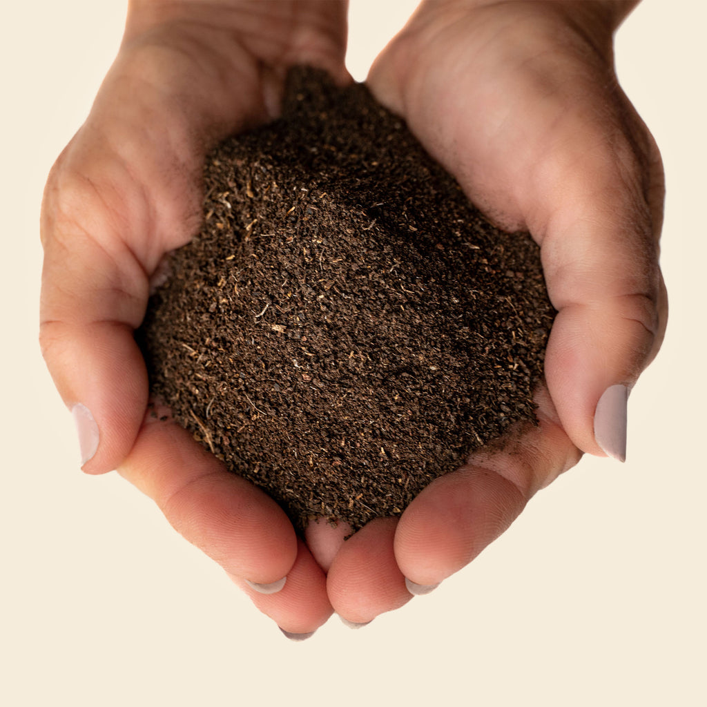 Soil Food