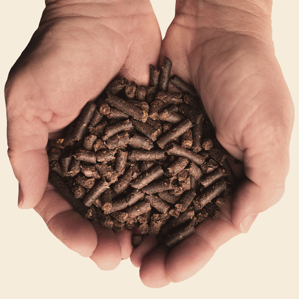 Soil Food